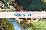 Araneta Properties - Contact Information